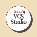 vcs studio