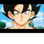 The vegito fan group!