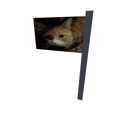 ⭐ [UPDATED] Orange Cat Flag