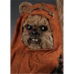 The         Ewoks