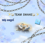 TEAM SWANS