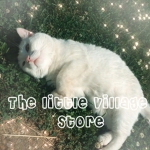 The little village store