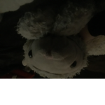Moonbeamzo5