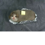 붉은부대