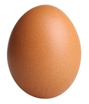 ~The Egg Family~