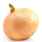 EUROPEAN ONION
