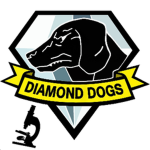 -[DD]- Research & Development Team
