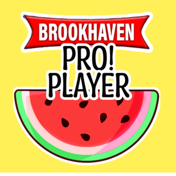 ✨ The ULTIMATE Brookhaven Quiz for PROS✨