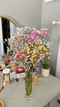 jadexhibiscus