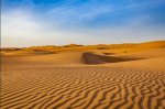 how did i end up in a desert