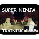 Super Ninja Training Camp V2