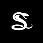 do_small x Selics Group Thumbnail