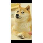 DOGGO'S_SECRET_GROUP