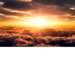 The Last Pure Ones..      TLPO