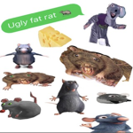 RATSFORLIFEee