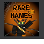 The Rare names on roblox