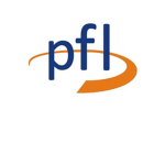 professional fighting league