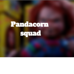 PandaCorn Squad!!