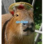legroupeerreur