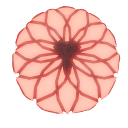 Dark Nation Cult Training icon