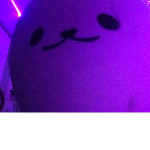 ~a n y a~