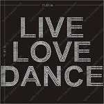 LDGA (Love's Dance and Gymnastics Academy)