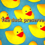 The Bluewood duck preserve