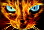 FireFriends