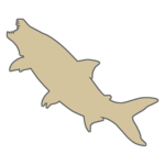 Tigerfish Corporation