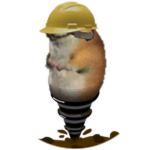 Drill Chomik