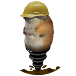 Drill Chomik