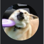Ultimate Trolling GUI Group