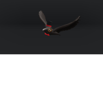 Crows united!