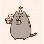 THE PUSHEEN SQUAD