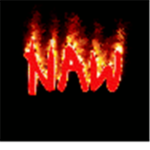 Ninja And Warrios Clan