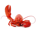 Lobsterland