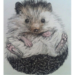 BABY HEAGCHOGS
