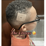 The e-k1ttens