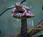 SPROUT FROGS_ϝαɳɠɾσυρ
