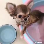 Party mode ON