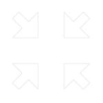 DinoRex Studios