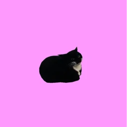 FIND THE CATS [77] icon