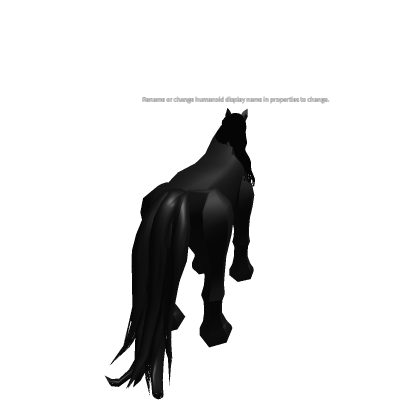 Gaited Horse STARTER PACK