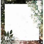 Nature_aestheticsii