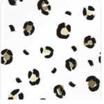 Kiera's Leopard friends