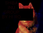 Shiba inu group by Hi ro!