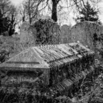 corpse’ closet