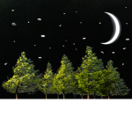The nighttime sky