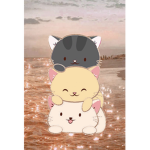 Kitty group :D.