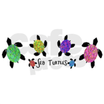 Awesome Multicolored Turtle Group!! :P